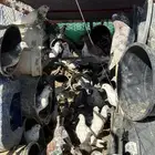 حمام كفوو لبيع