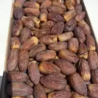 مجدول طيب