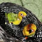 السلام عليكم ورحمة الله