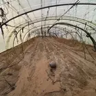 بيوت محميه