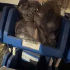 قطع غيار كرينات تدانو كاتو اكسيمجي