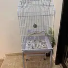 قفص ببغاوات