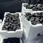 عجوة طيبة ب 30