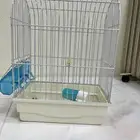 مستلزمات طيور