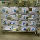 اقفاص 301