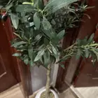 شجرة الزيتون صناعيه للبيع