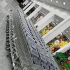 رفوف حضار