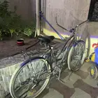 سيكل فراشه