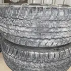 الخرج كفرات شد بلد طيبه جدا اصلي شد الوكاله جسكار