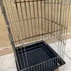 أقفاص ببغاء وعصافير