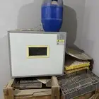 فقاسه تماتيك للبيع