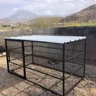 شبك دجاج