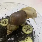 جدة