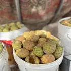 برشوم للبيع