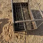 منقل برسيم نظيف