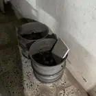 جنوط