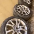 جنوط كابرس