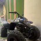 دباب
