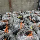 مكينه تويوتا مستورده