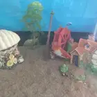 سمكة سورد تيل