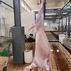 للبيع تيوس بريه مميزه مليانه شحم و لحم