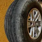 جنوط كويتيات وبوالين