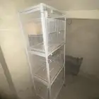 قفص طيور