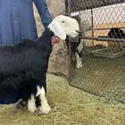 السلام عليكم ورحمة الله وبركاته