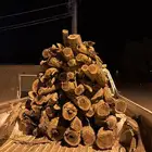 حطب مستورد س مر