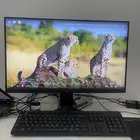 شاشة قيمز LG 24 نضيفه بالحيل