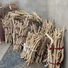 حطب دينم وفكس امريكي وقليل علب