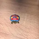 سلحفاء برمائية لون جميل للبيع