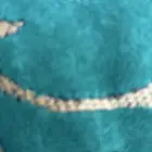 مطلوب دباب ديار 2024