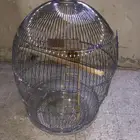 قفص طيور