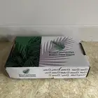 تمر صقعي ومجدول