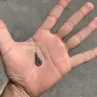 مفتاح