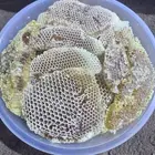 عسل سمر قص جديد من مناحلي الخاصه