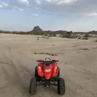 دباب سويدي نظيف للبيع