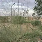 مرخ من مزرعه الزين