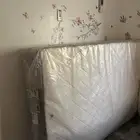 مراتب