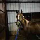 مهر مكس جمال وهوا
