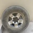 استبنة فورشنر 2006 من وكالتها