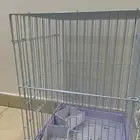 قفص