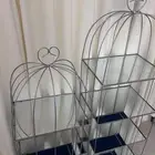 استاندات
