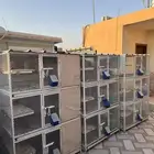 للبيع 3 محاكر حمام كبيرة - بحاله ممتازه
