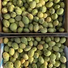 لوز قطيفي ( اصفر و احمر ) بالجملة