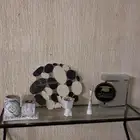 كلهم ب خمسين ريال ي بلاش