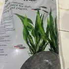 تربه نشطه ورمل مخصصه لأحواض السمك المزروعه