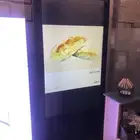 شاشة عرض طولية مستعمل