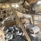 حمام